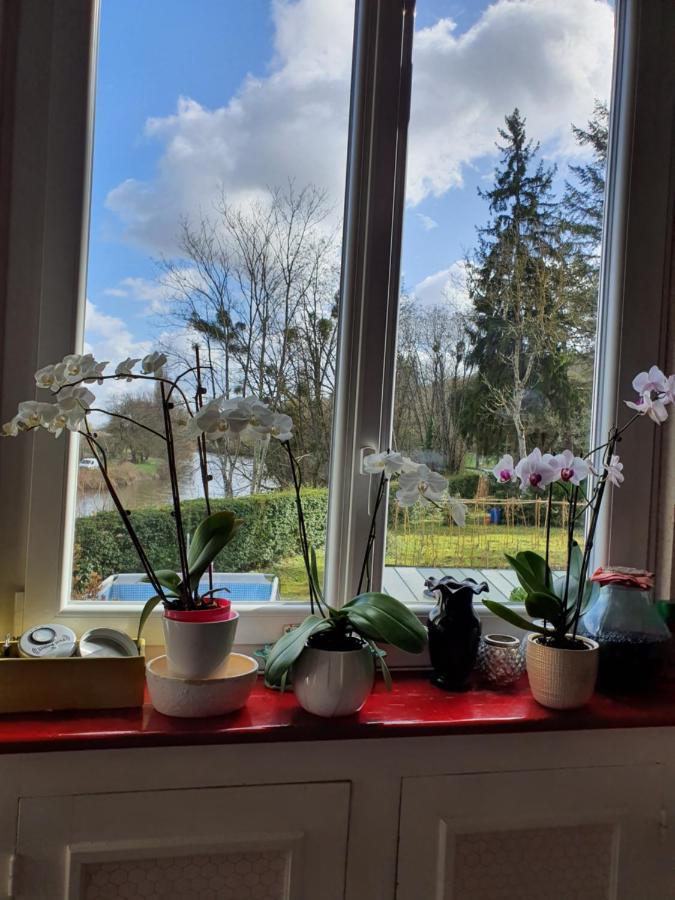 Bed & Breakfast Le Manoir Du Coeur Volant Saint-Aignan (Loir-et-Cher)